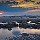 Берег Белого моря во время отлива. Архангельская область, близ г. Онега, 2015 г.
